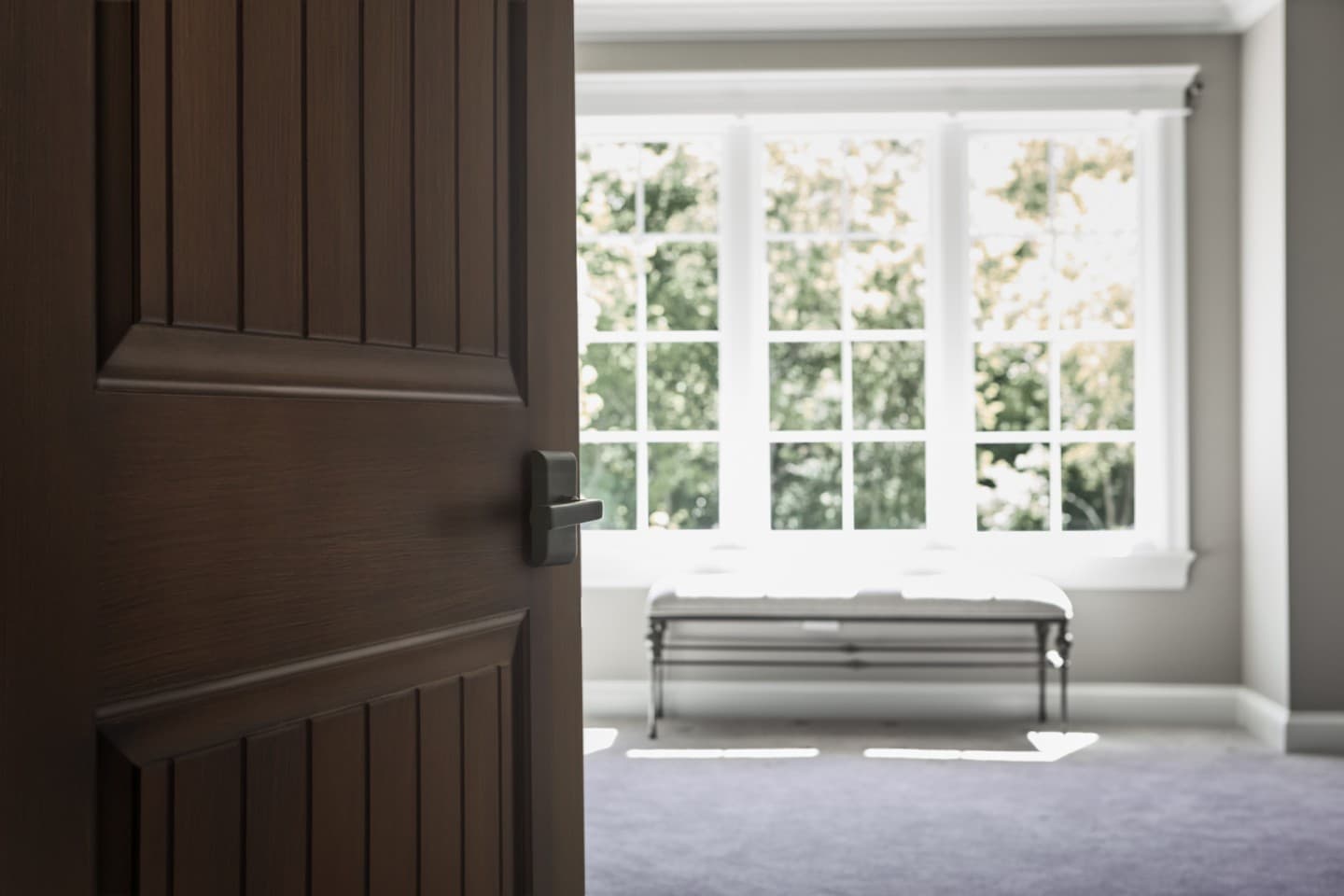 Jeld Wen Door