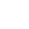 Digital Icon